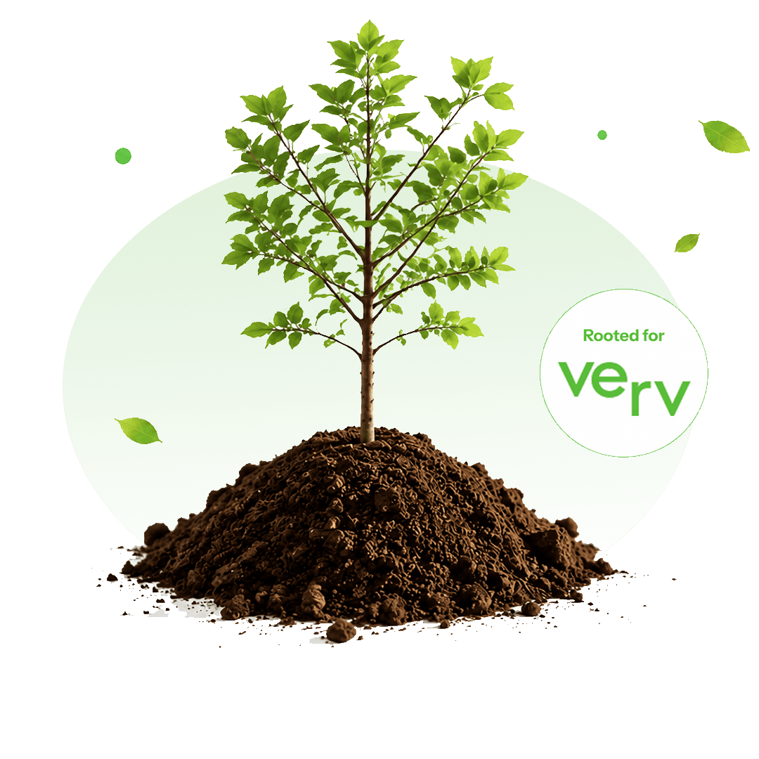 A young tree growing from soil, symbolising Verv's sustainability commitment